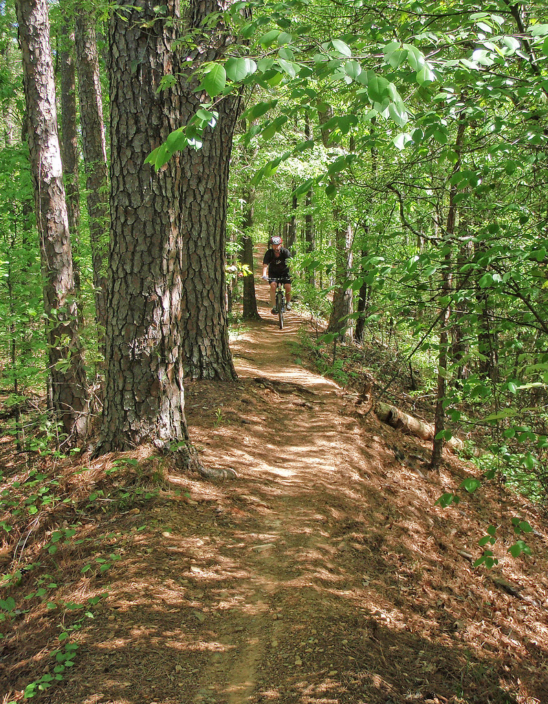 Not part of the new trail but an old favorite at Burns Park.