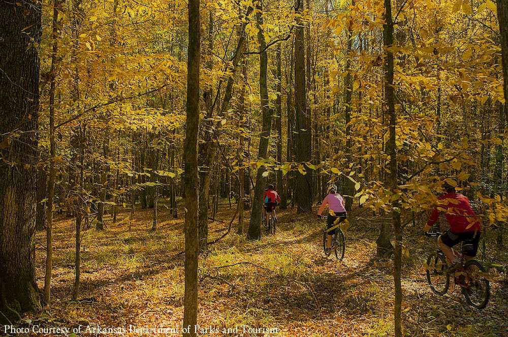 Cane Creek Cycling A beautiful ride in any season.
