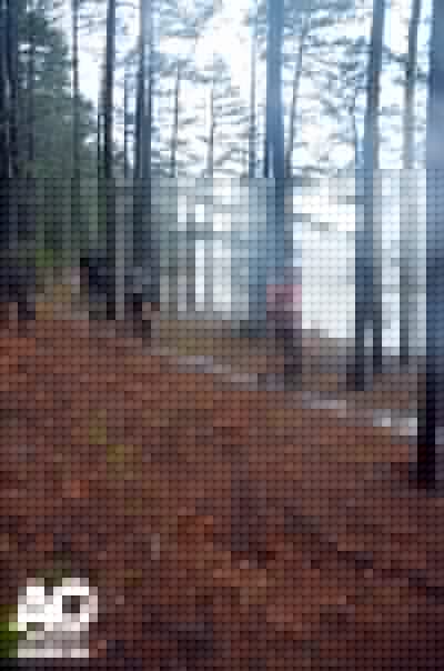 Running along the bluff line.