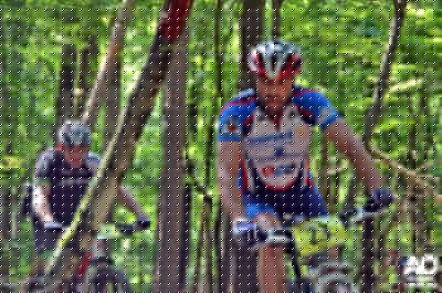 More zipping through the trees on the fast section.