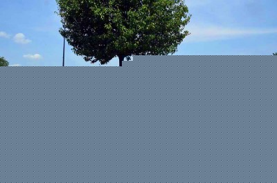 The 180 Degree Turn.