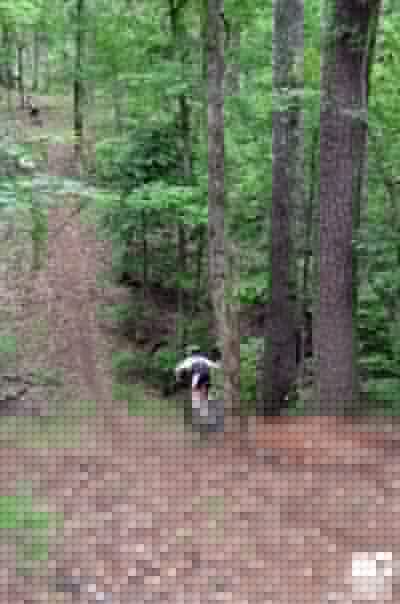Playing in the "Gravity Cavity"