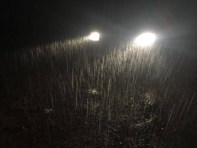 What the night looked like if you put a light on it.