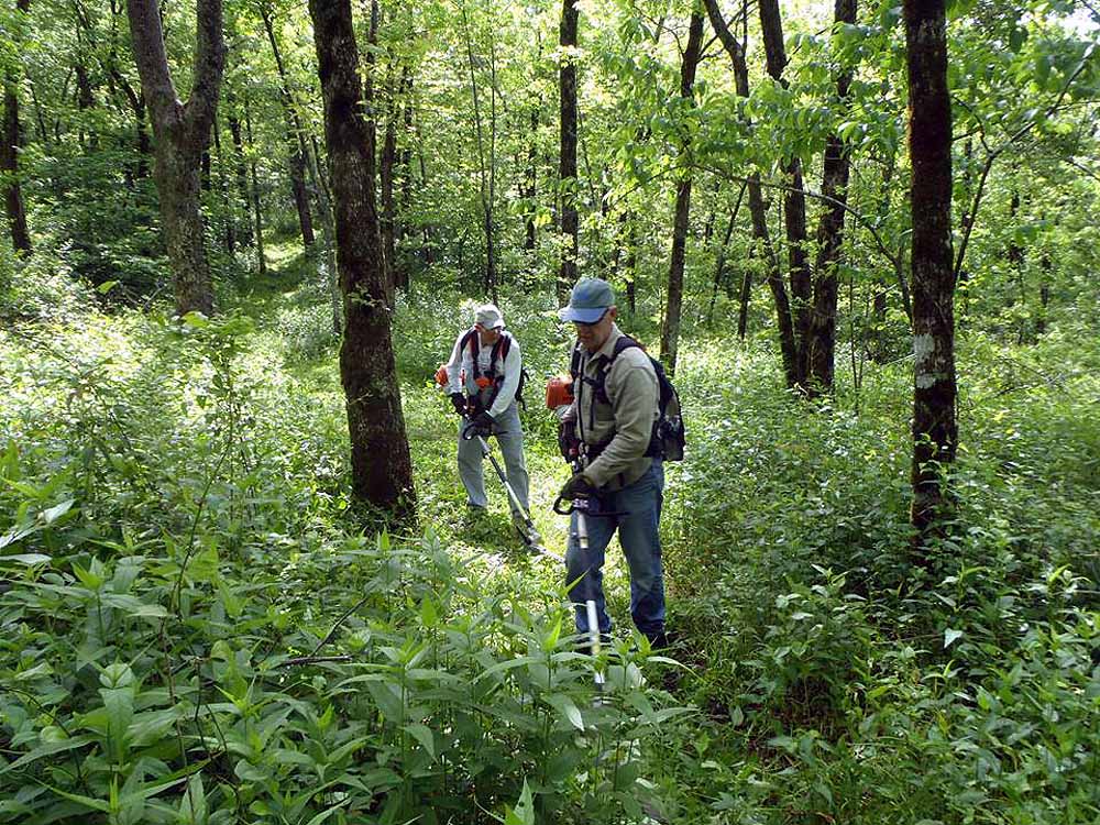FoOT Volunteers working a section of the Ouachita National Recreation Trail.