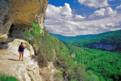 Goat Trail, Buffalo Wilderness. (photo by ADPT)