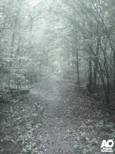 Bruce coming down an old logging road.