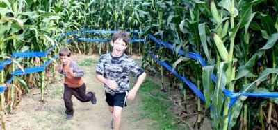 Running through the Farmland Maze.