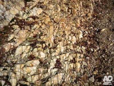 The quartz-covered trail.