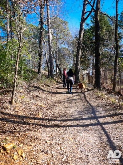 Heading up the Dead Chief Trail.