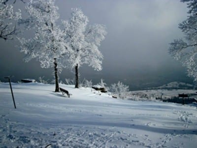 Mount Nebo State Park