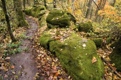 Kessler Mountain Trails