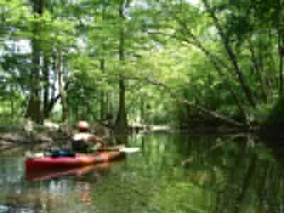 Fouche Creek