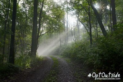 Country Road #OptOutside