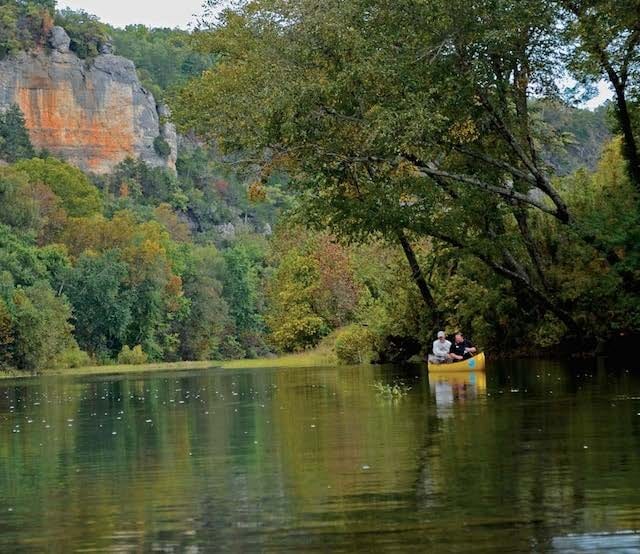 Buffalo River Bronze Backs