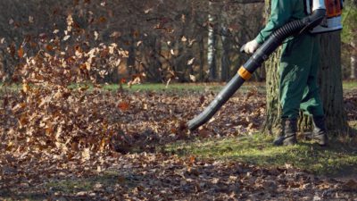 Leaf blowing