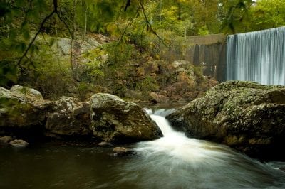 Shady Lake, Ouachita National Forest (Photo courtesy of Arkansas Department of Parks & Tourism)