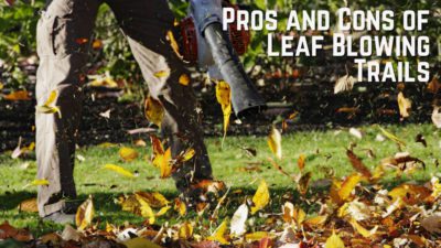 The pros and cons of leaf blowing trails
