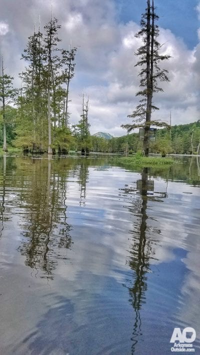 Turning around gives paddlers a whole new perspective on the park.