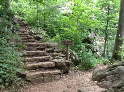 A scene from the Lost Valley Trail near Eden Falls. Photo: Cindy Bass/NPS