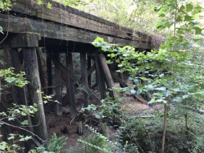 Bridge