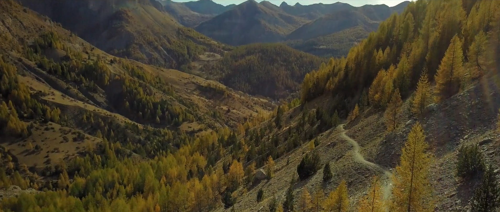 Mountain Trail