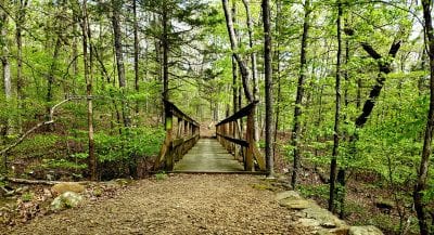 Warren Hollow Bridge