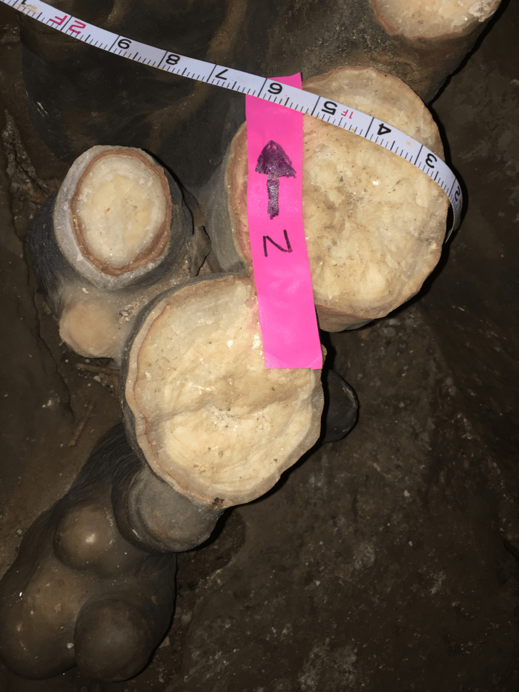 Broken stalagmites in Fitton Cave