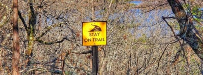 Stay on Trail