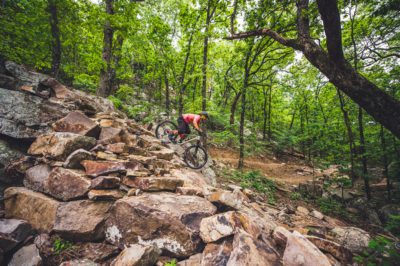 Rider takes a steep downhill line at Mount Nebo State Park