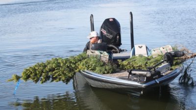 Christmas Tree Drop Off