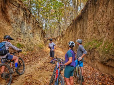 We call this "The Narrows of Crowley's Ridge" The walls along this road are about 20 feet high.