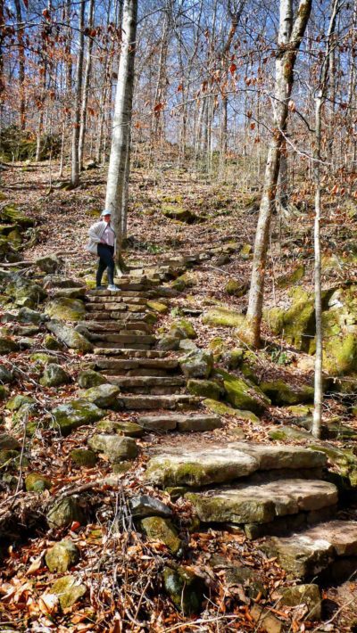 A sample of the steps.