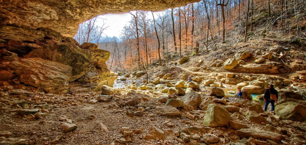 Cobb Cave - Lost Valley