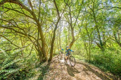 Bentonville Mountain Biking