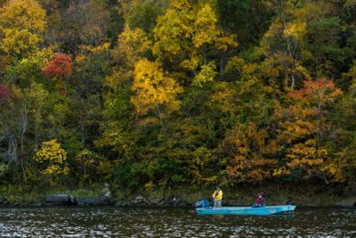 Bull Shoals-White River State Park