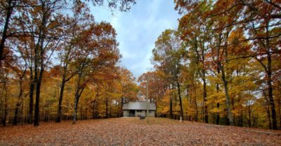 Fall at Village Creek State Park