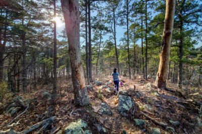 Ouachita National Recreation Trail