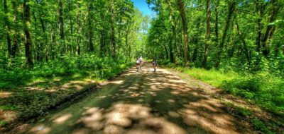 Riding the Low Road.
