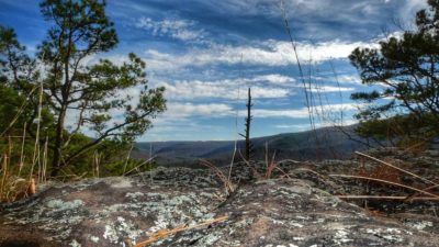 The view from above a high trail.