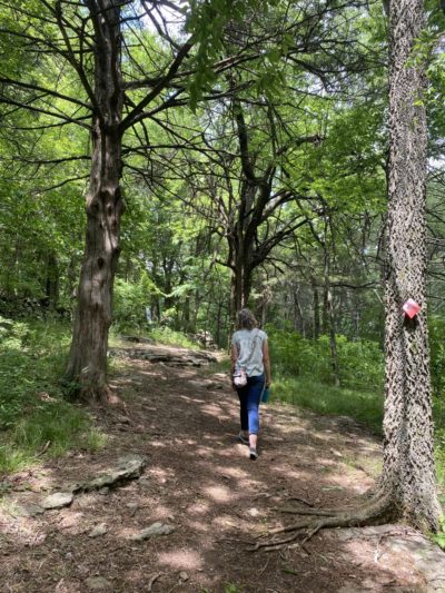 Historic Cane Hill Trails