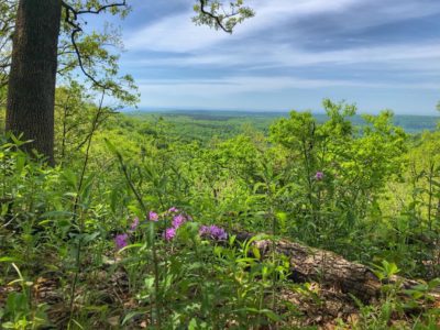 Ridgeline View in the Ozarks