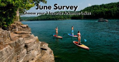 June Survey