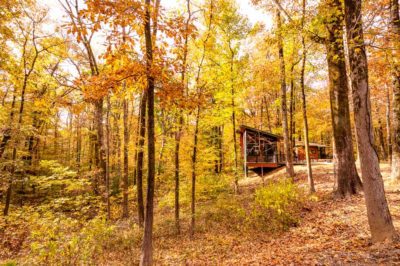 A beautiful setting in the St. Francis National Forest