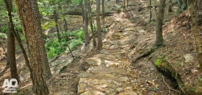 Rock Pavement