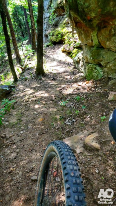 Below the bluff lines