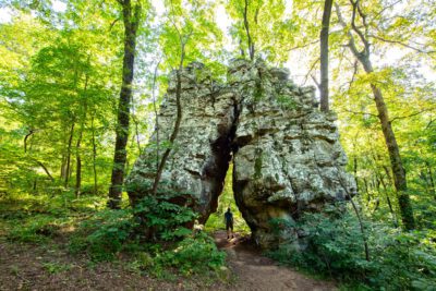 White Rock Mountain