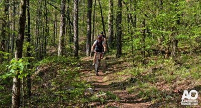 Mountain Bike Racing on the Womble Trail