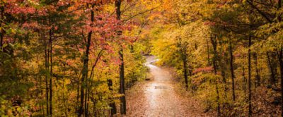 Devil's Den Fall Color