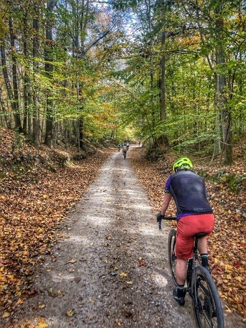 Hardwood Forests.
