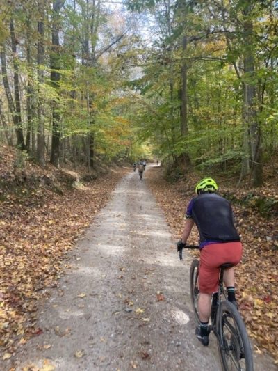 Hardwood Forests
